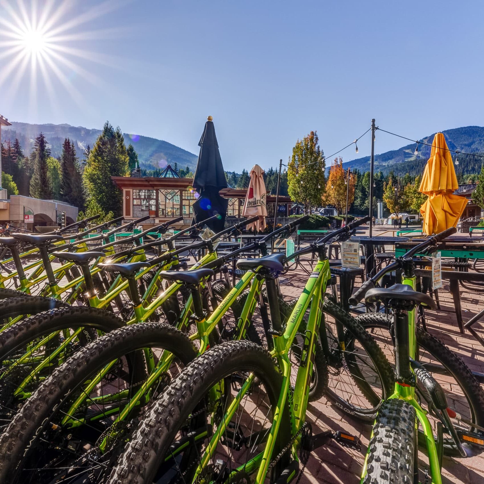 Spicy Sports Blackcomb - Trek Marlin